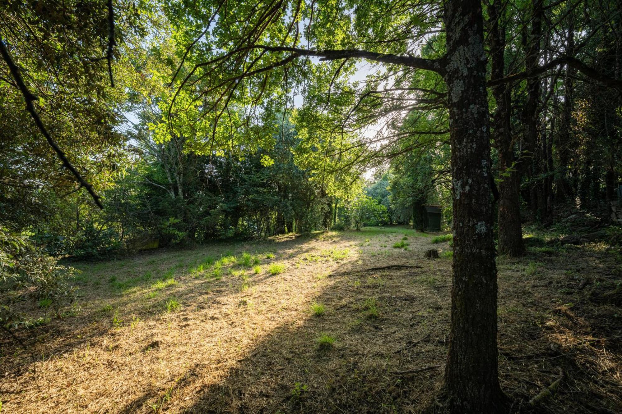 Villa San Clemente Fiesole Zewnętrze zdjęcie